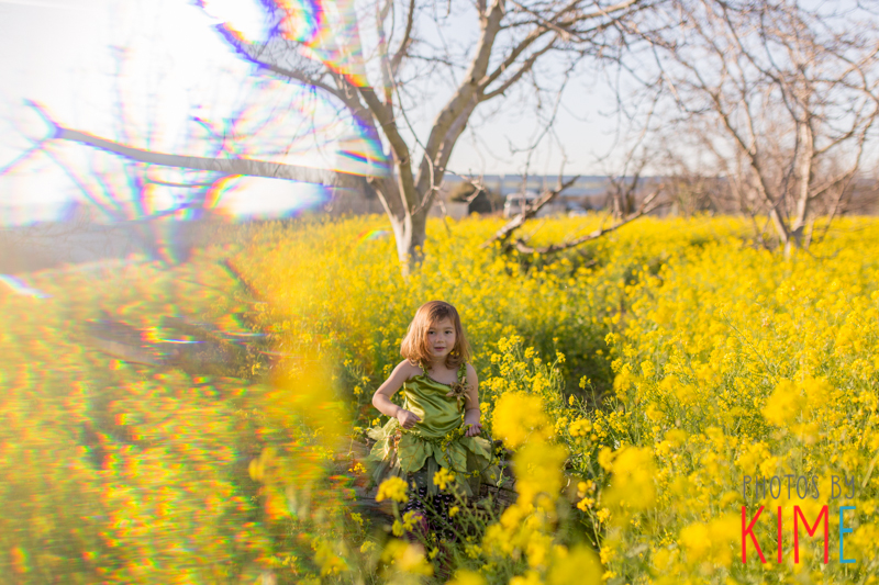 mustard-field-orchard-san-jose-photographer-prism
