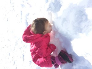 san jose photographer - personal - snow weekend - arnold - ca