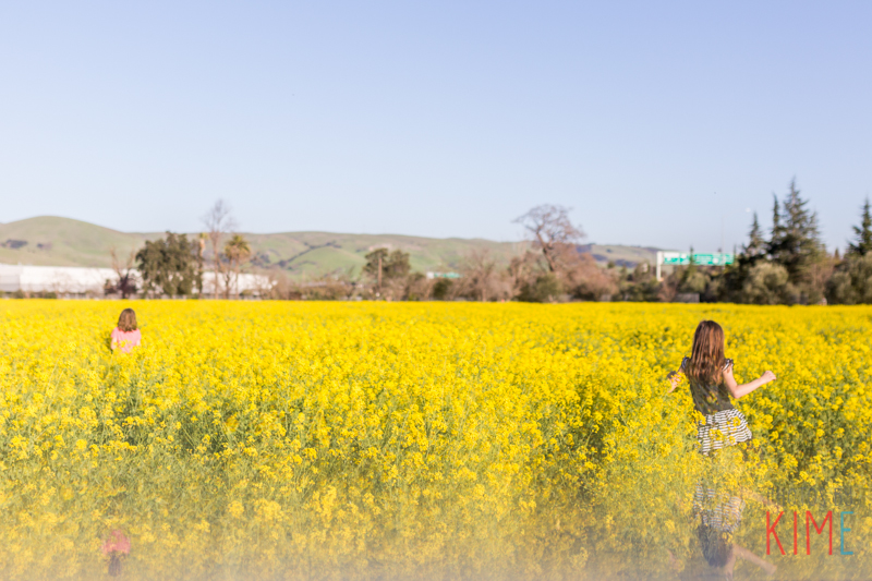 san jose photographer - mustard field - yellow flowers - spring time - love balloons - valentines day 