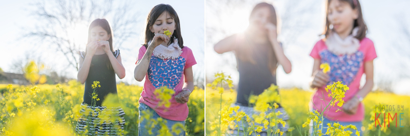 san jose photographer - mustard field - yellow flowers - spring time - love balloons - valentines day 
