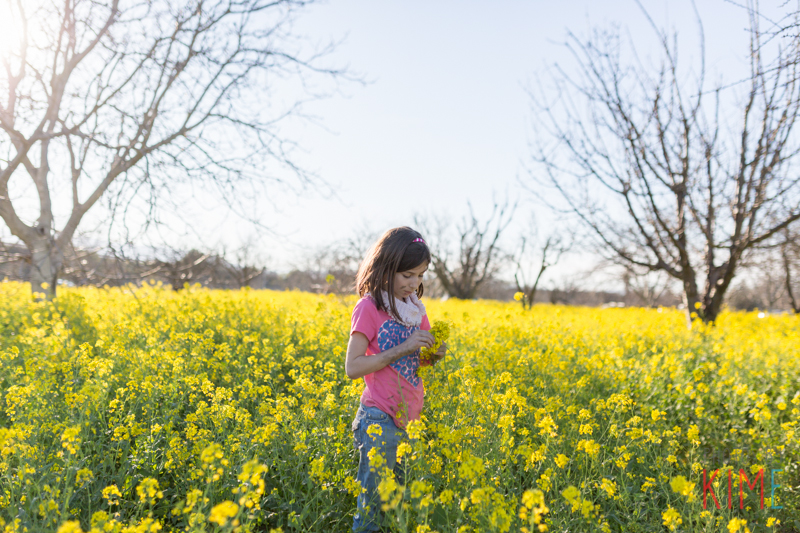 san jose photographer - mustard field - yellow flowers - spring time - love balloons - valentines day