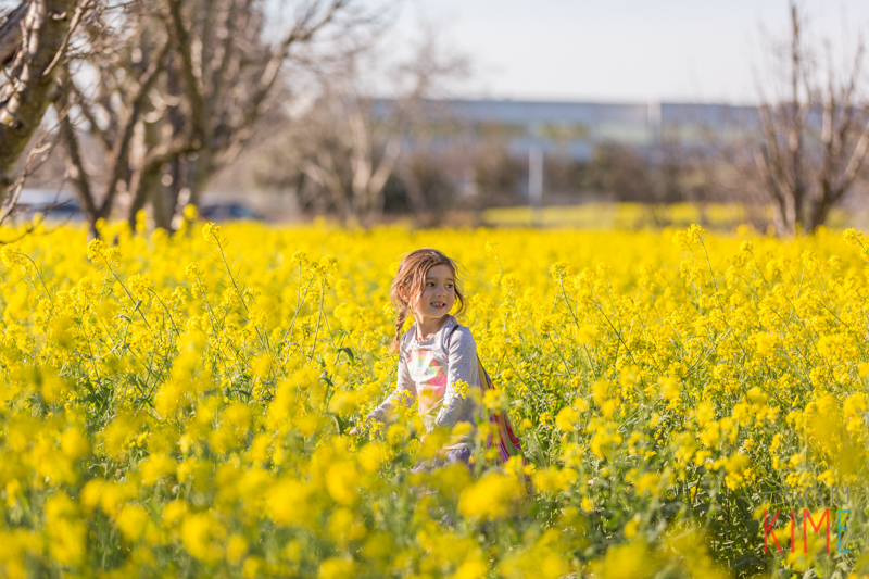 san jose photographer - mustard field - yellow flowers - spring time - love balloons - valentines day