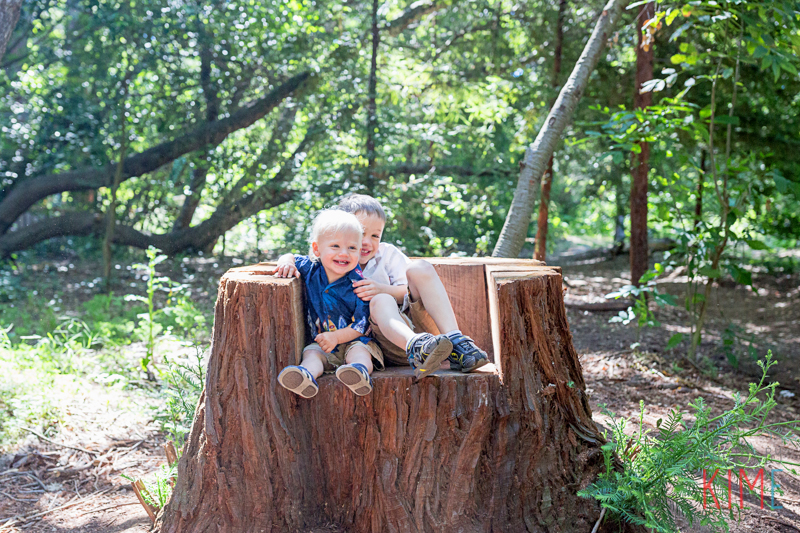 bay area redwood hike - family of four - lifestyle - photography - fun - love - san jose - los altos