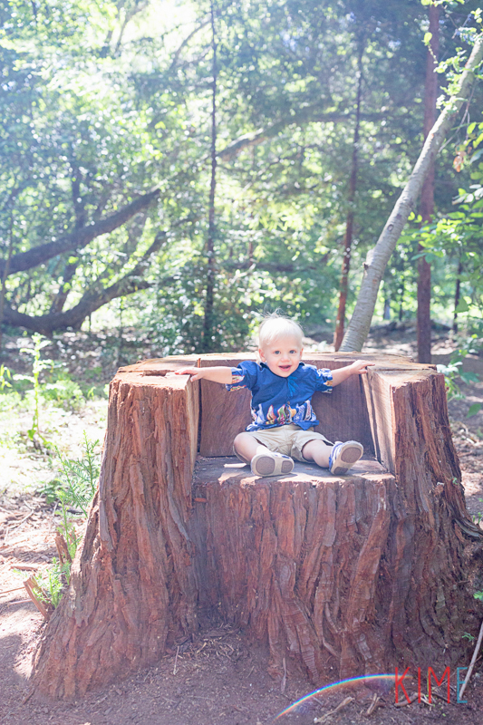 bay area redwood hike - family of four - lifestyle - photography - fun - love - san jose - los altos