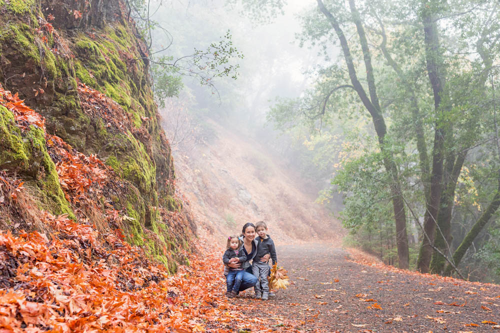 mom portrait with her two kids with fall colors and leaves surrounding her for fall family photos