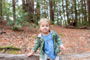 toddler sitting on log with fall leaves in the background for fall family photos