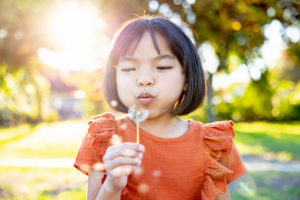 family photography san jose session with little girl blowing dandelion