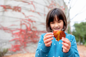 girl holding a red and yellow leaf