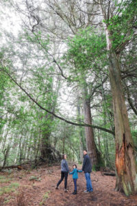 family of three walking in the redwoods