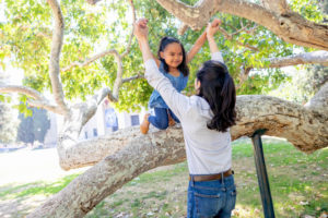 little girl being lifted off a tree limb