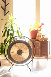 gong with a green plant behind it