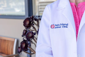 business images of the rule of thirds for your business photography session with an image of a doctor's jacket and logo