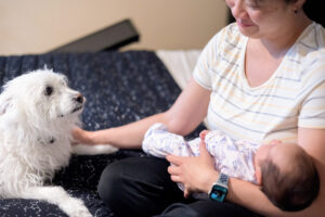 family newborn photos with mom petting the dog and holding the newborn