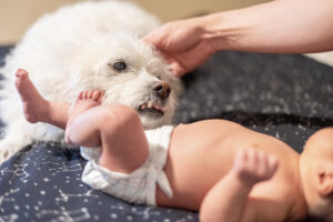 family newborn photos with mom introducing the baby to the family dog