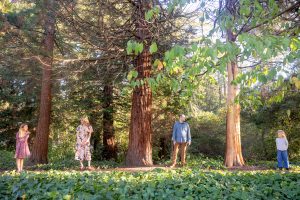family of four standing next to redwoods in piedmont park